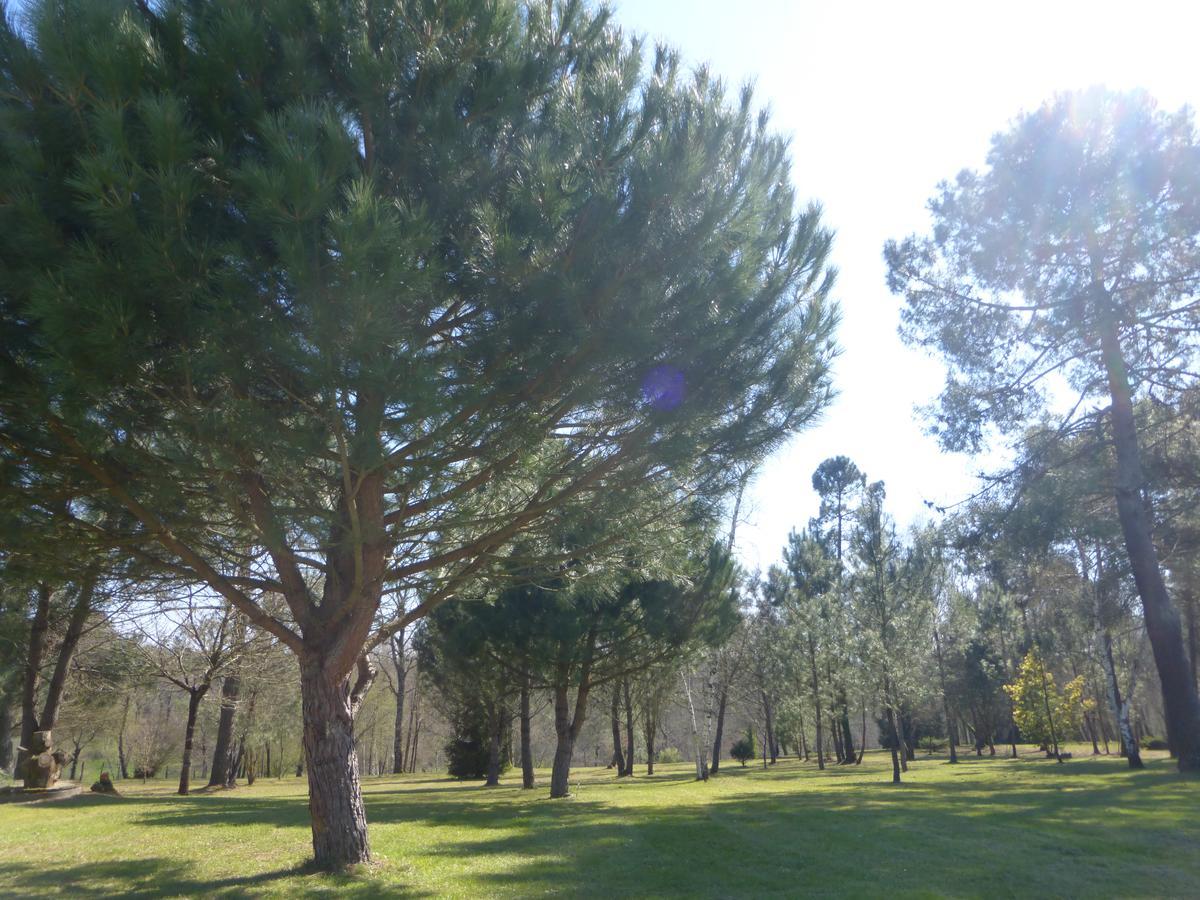 Gite Les Pins Perdus Saint-Ciers-d'Abzac Exterior foto